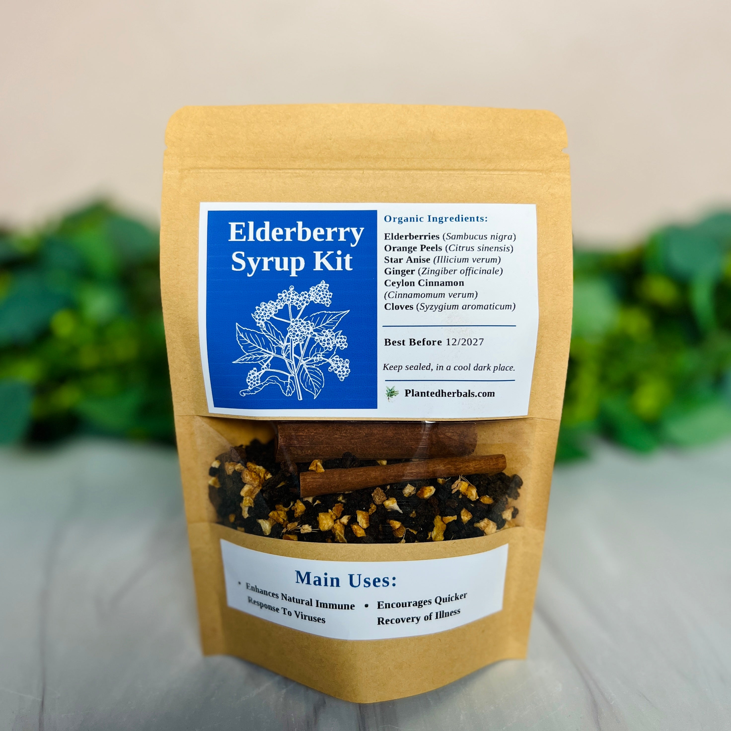 Elderberry Syrup Kit – Planted Herbals