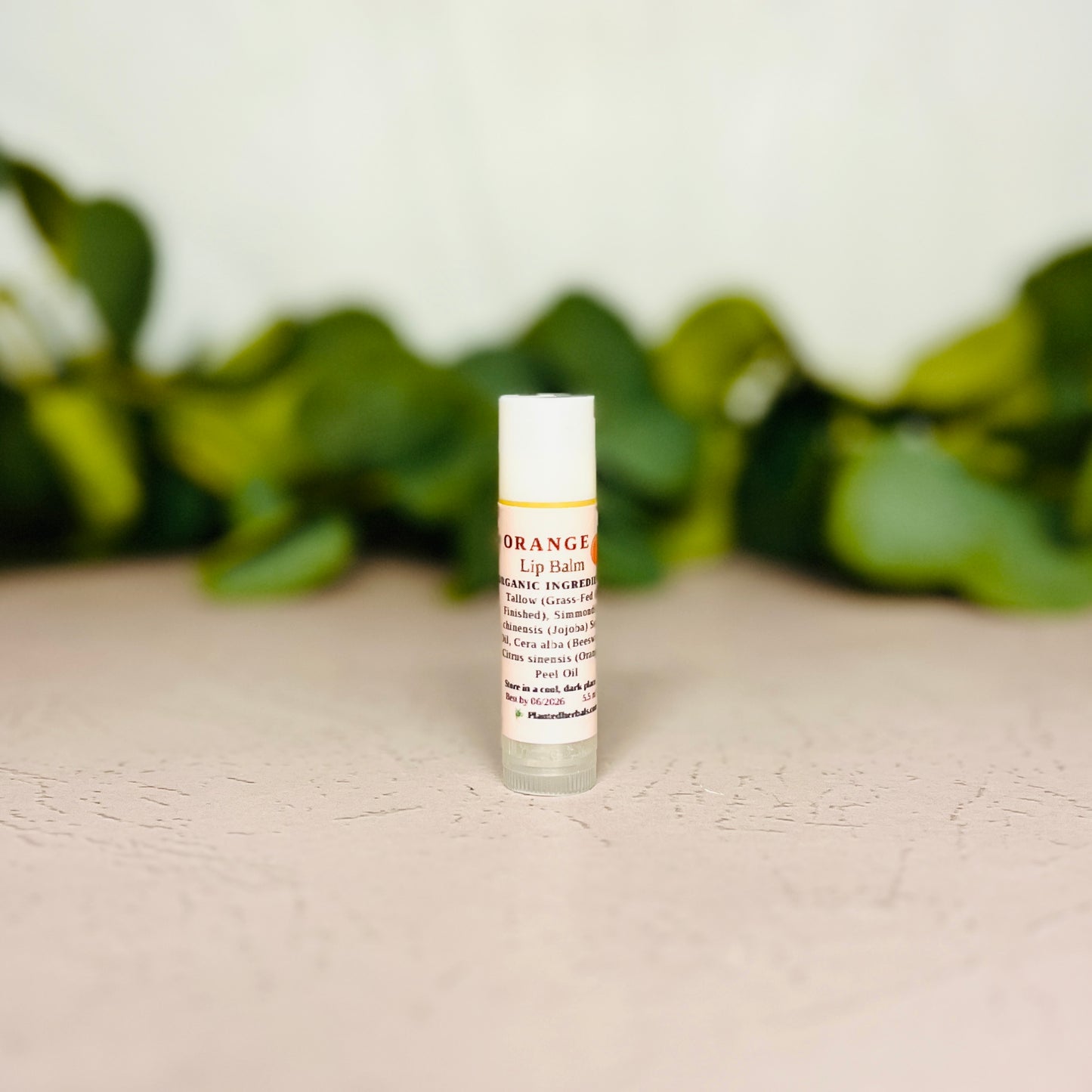 Tallow Lip Balm