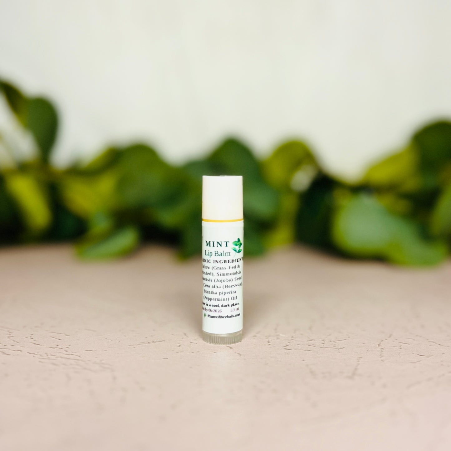 Tallow Lip Balm
